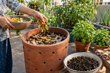 composting-at-home-indian-gardens.