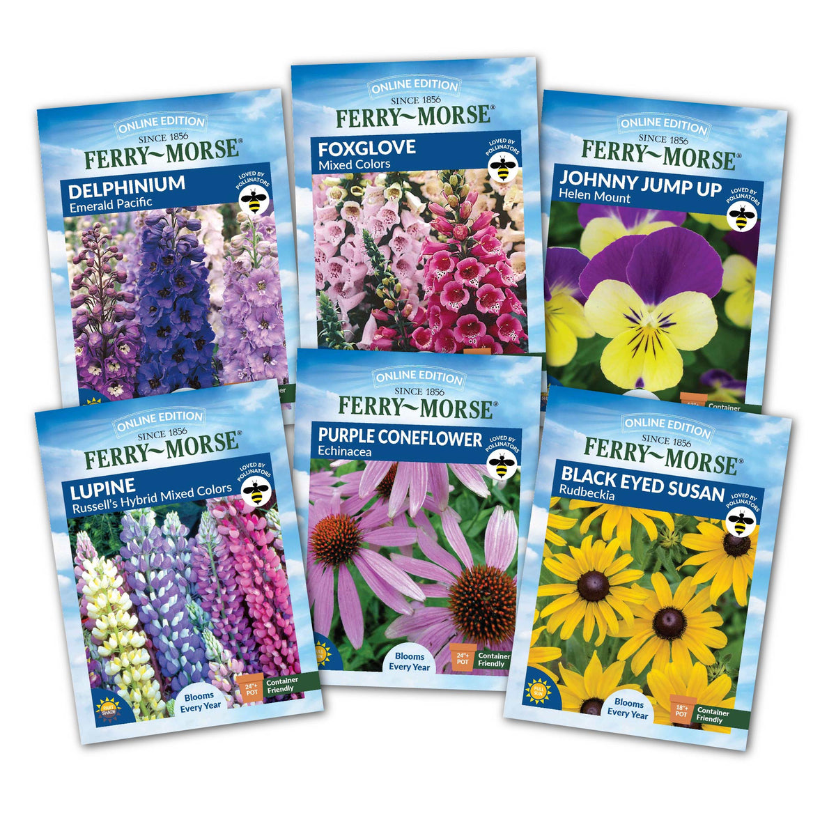 Perennials to Plant in Fall Seed Variety Pack - 6 Pack