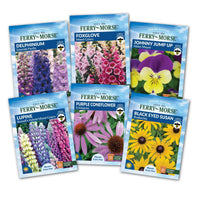 Perennials to Plant in Fall Seed Variety Pack - 6 Pack