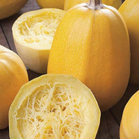 Spaghetti Squash – Vegetable Garden Seeds