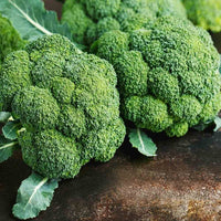 Broccoli Seeds Non-GMO Fresh Garden Seeds Made in USA Ships from Iowa