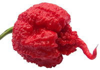 Carolina Reaper Pepper – Extra Hot Vegetable Seeds