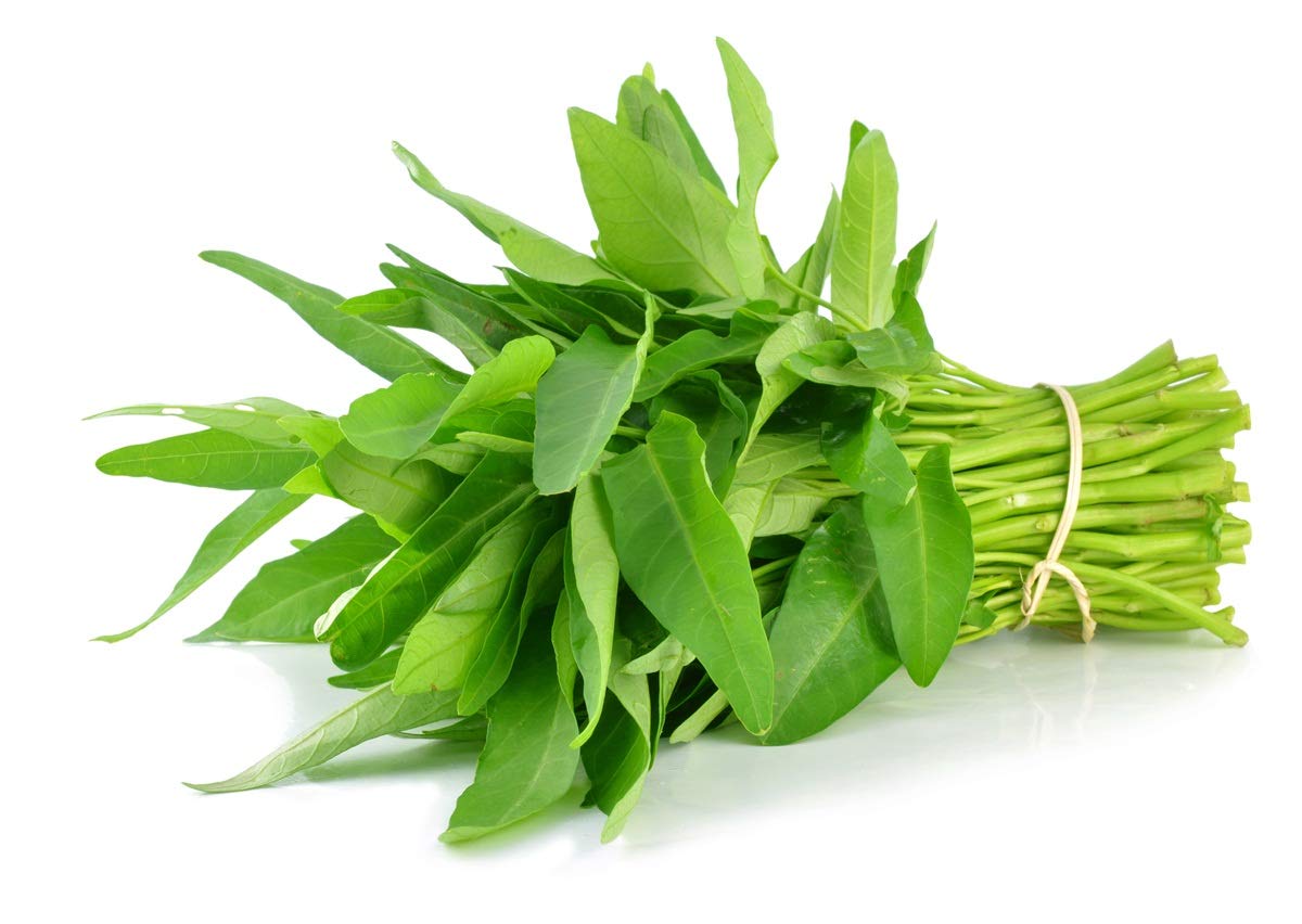 Water Spinach Ipomoea Aquatica – Vegetable Garden Seeds