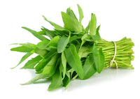 G Water Spinach – Garden Vegetable Seeds