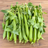 Lincoln Pea Seeds – Garden Vegetable Seeds