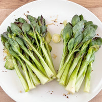 Brussels Sprouts Long – Garden Vegetable Seeds