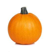 Pumpkin Small Sugar Pie Seeds – Compact Plant Variety for Home Gardening