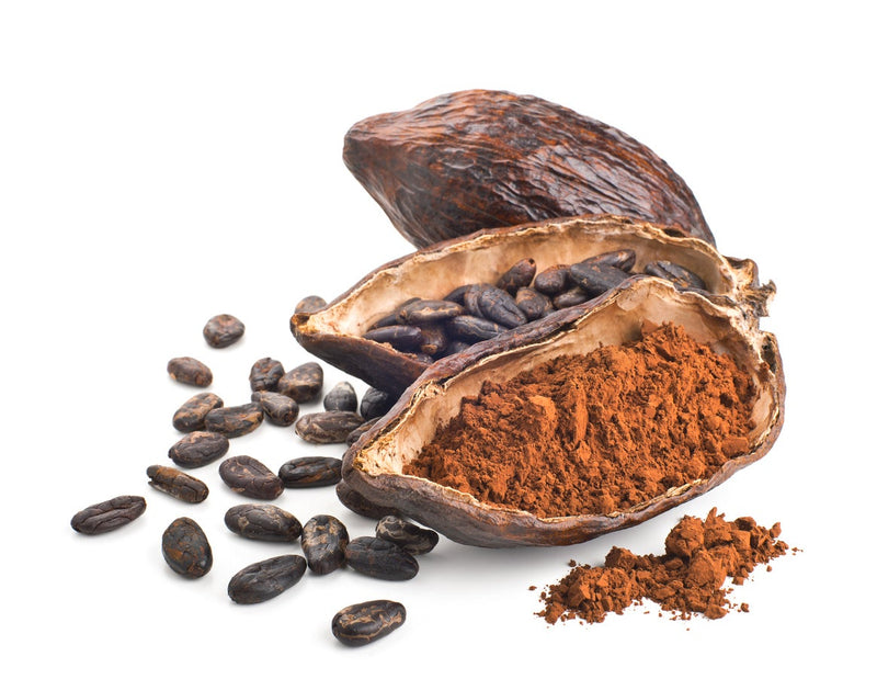 Ripe Cacao Shell Seeds for Planting – Tropical Cacao Pod Seed Variety
