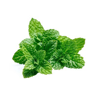 Peppermint (Mentha × piperita) Herb Seeds for Planting – Aromatic Mint Variety for Home Gardens