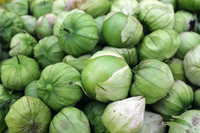 Toma Verde Tomatillo – Garden Vegetable Seeds