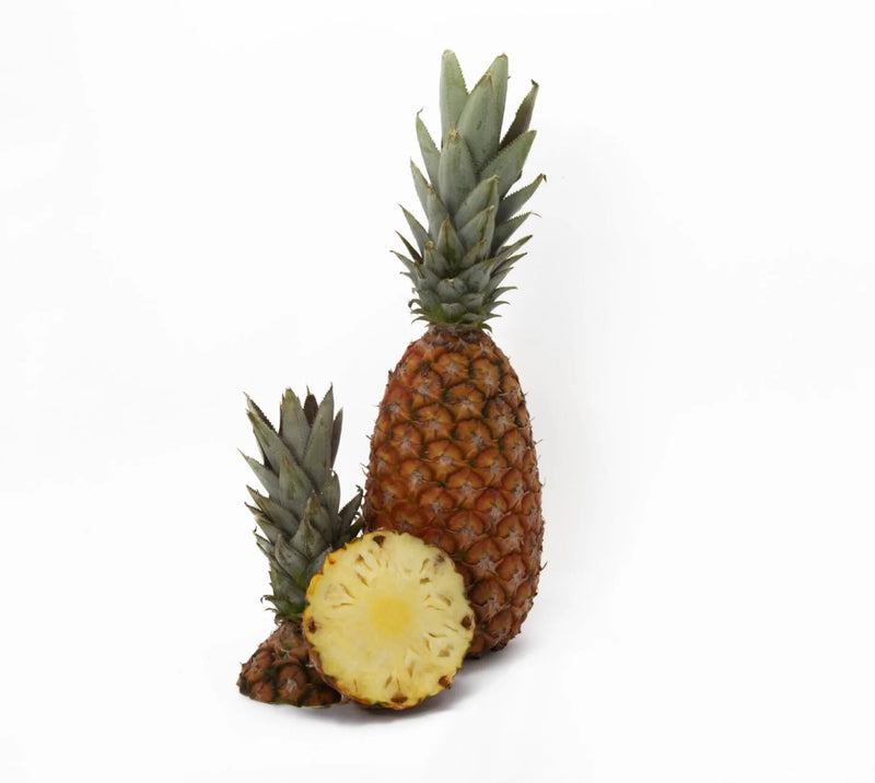 Sugarloaf White Pineapple (Ananas comosus) Seeds for Planting – Heirloom, Non-GMO, Easy to Grow, Sweet Tropical Variety