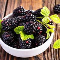 Wild BlackBerry – Hardy Fruit Tree Seeds