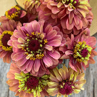 Zinnia Seeds Queen Red Lime Perennial Flower Seeds