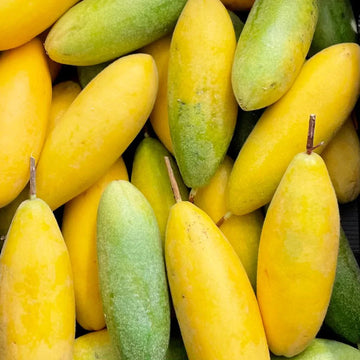 Passiflora Mollissima Banana Passion Fruit - Climbing Fruit Seeds