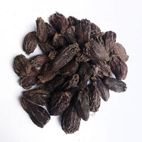 Black Cardamom Seeds (Amomum subulatum) for Planting