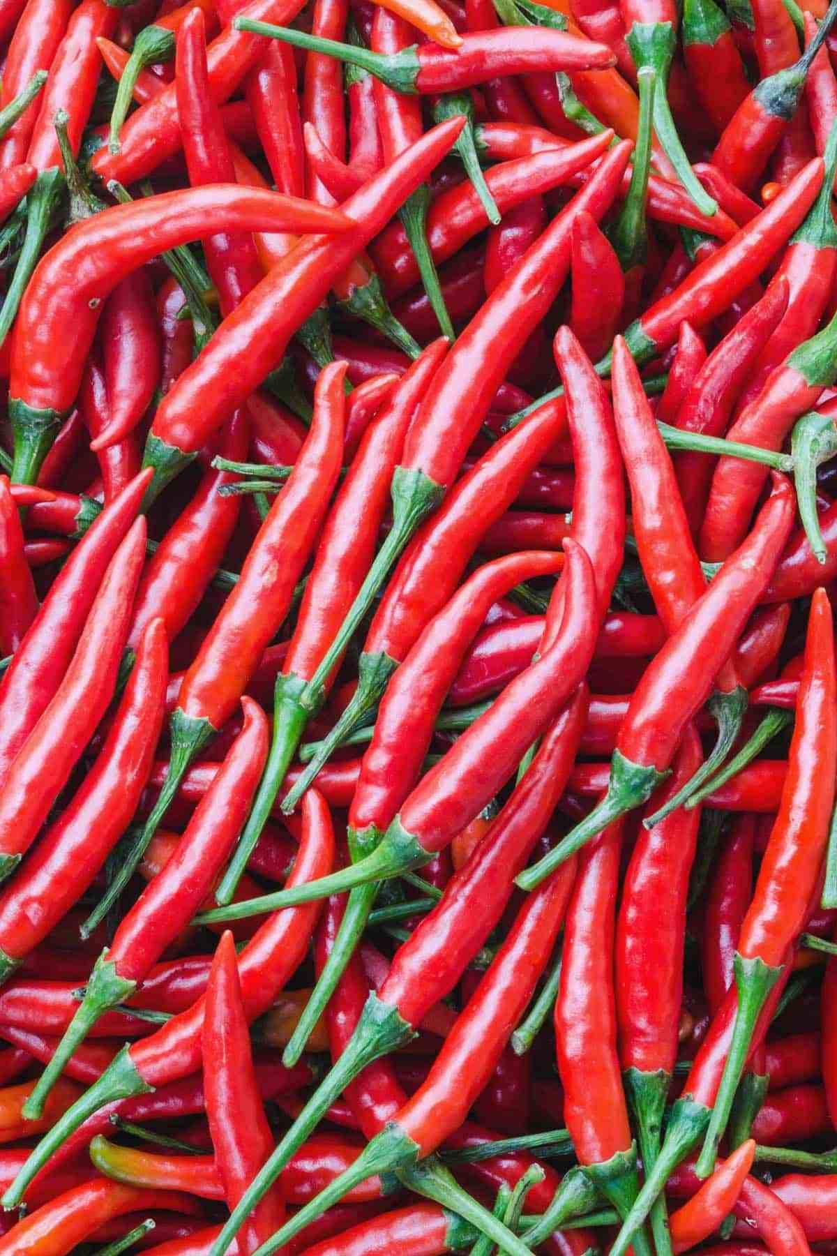 Yunnan Cayenne Pepper Seeds – Capsicum frutescens Planting Seeds