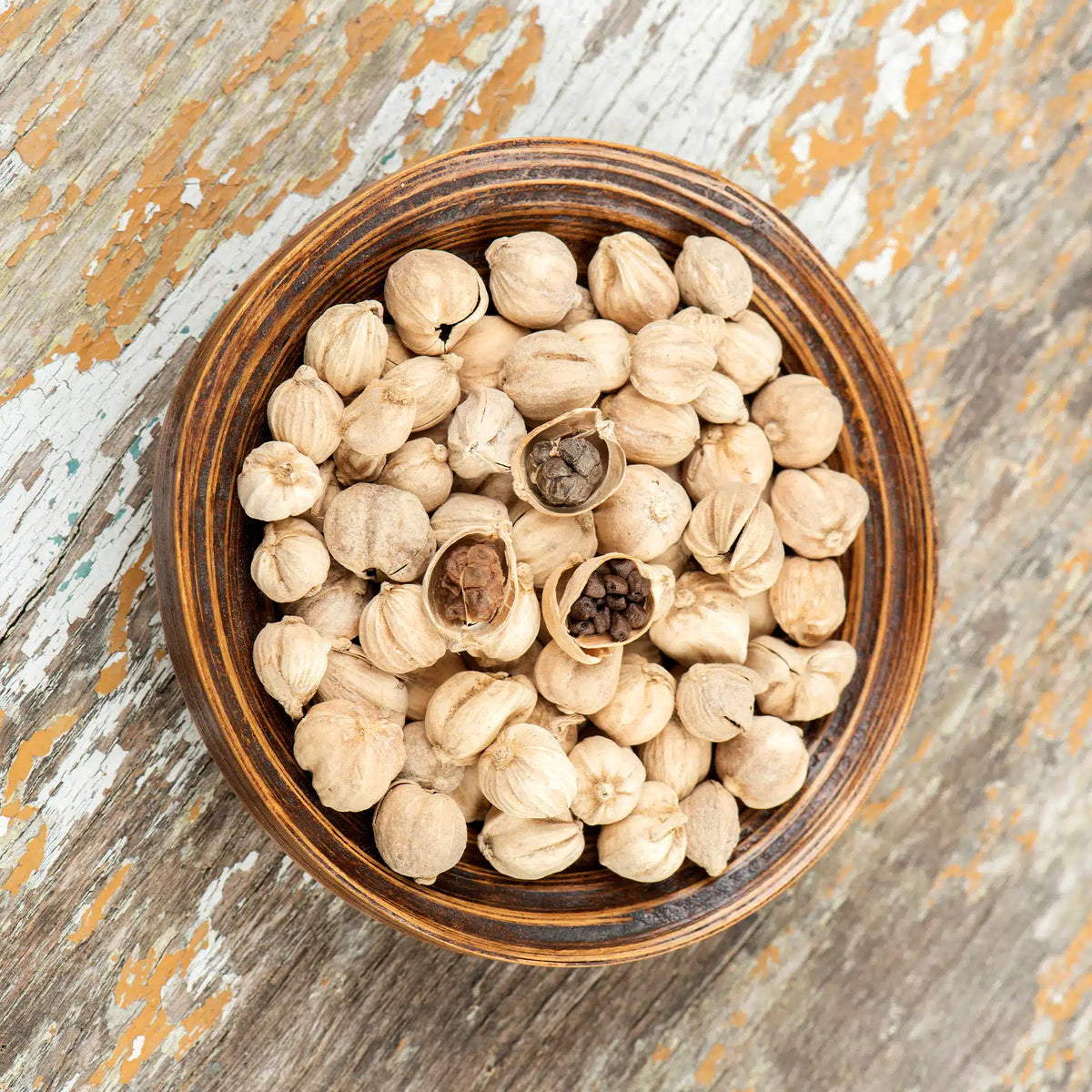 Siam Cardamom Seeds (Amomum krervanh) for Planting