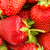 Chandler Strawberry Seeds – Heirloom, Non-GMO, High-Yield Garden Variety