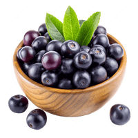 Acai Fruit Seeds for Planting – Fresh and Natural Seeds