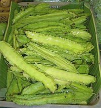 Winged Bean Psophocarpus Tetragonolobus Nitrogen Fixing Vegetable Seeds