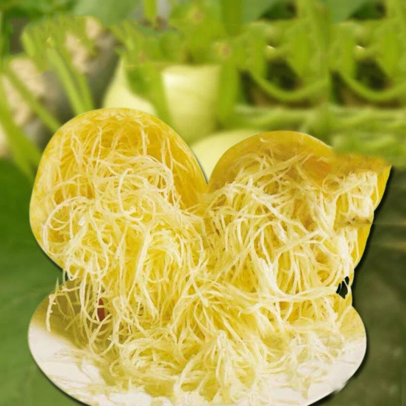 Spaghetti Squash – Vegetable Garden Seeds