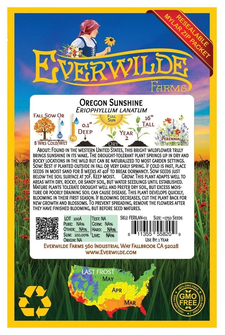 Oregon Sunshine – Bright Wildflower Garden Seeds