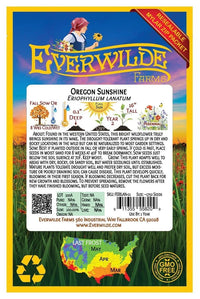 Oregon Sunshine – Bright Wildflower Garden Seeds