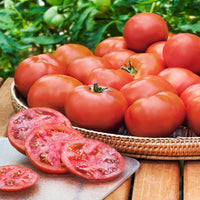 Floradade Tomato Classic Red Vegetable Seeds