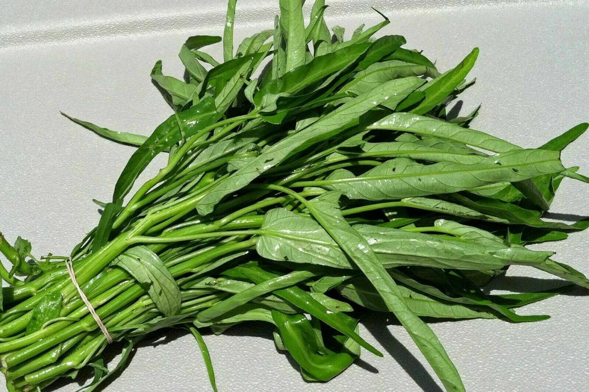 Water Spinach Ipomoea Aquatica – Vegetable Garden Seeds