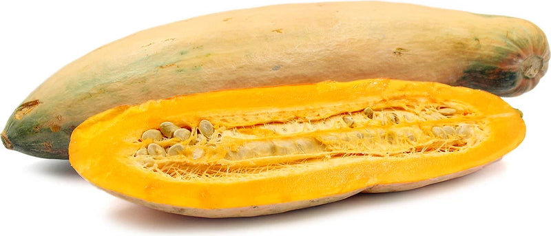Monster Banana Squash – Fruit Tree Seeds
