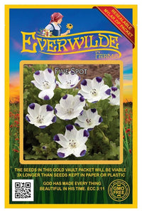 Five Spot Colorful Wildflower Garden Seeds