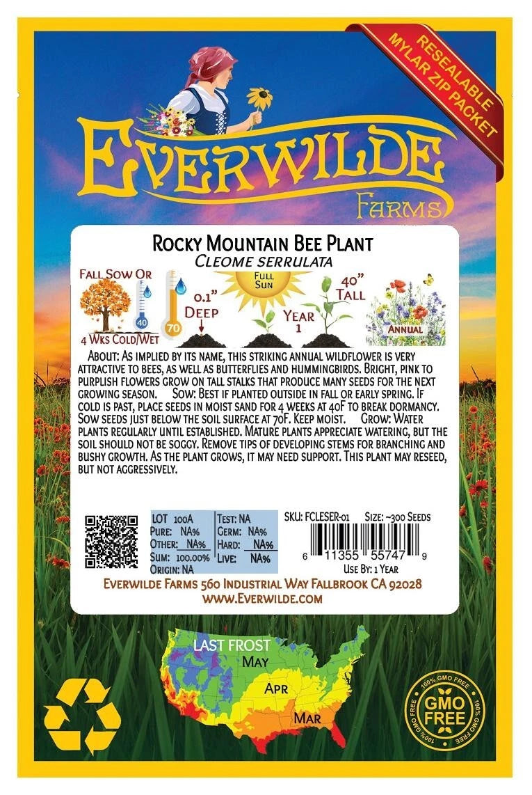 Rocky Mountain Bee Plant – Pollinator Friendly Wildflower Seeds