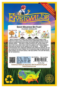 Rocky Mountain Bee Plant – Pollinator Friendly Wildflower Seeds