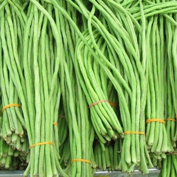 Yard Long Bean Vigna Sesquipedalis Hardy Vegetable Garden Seeds