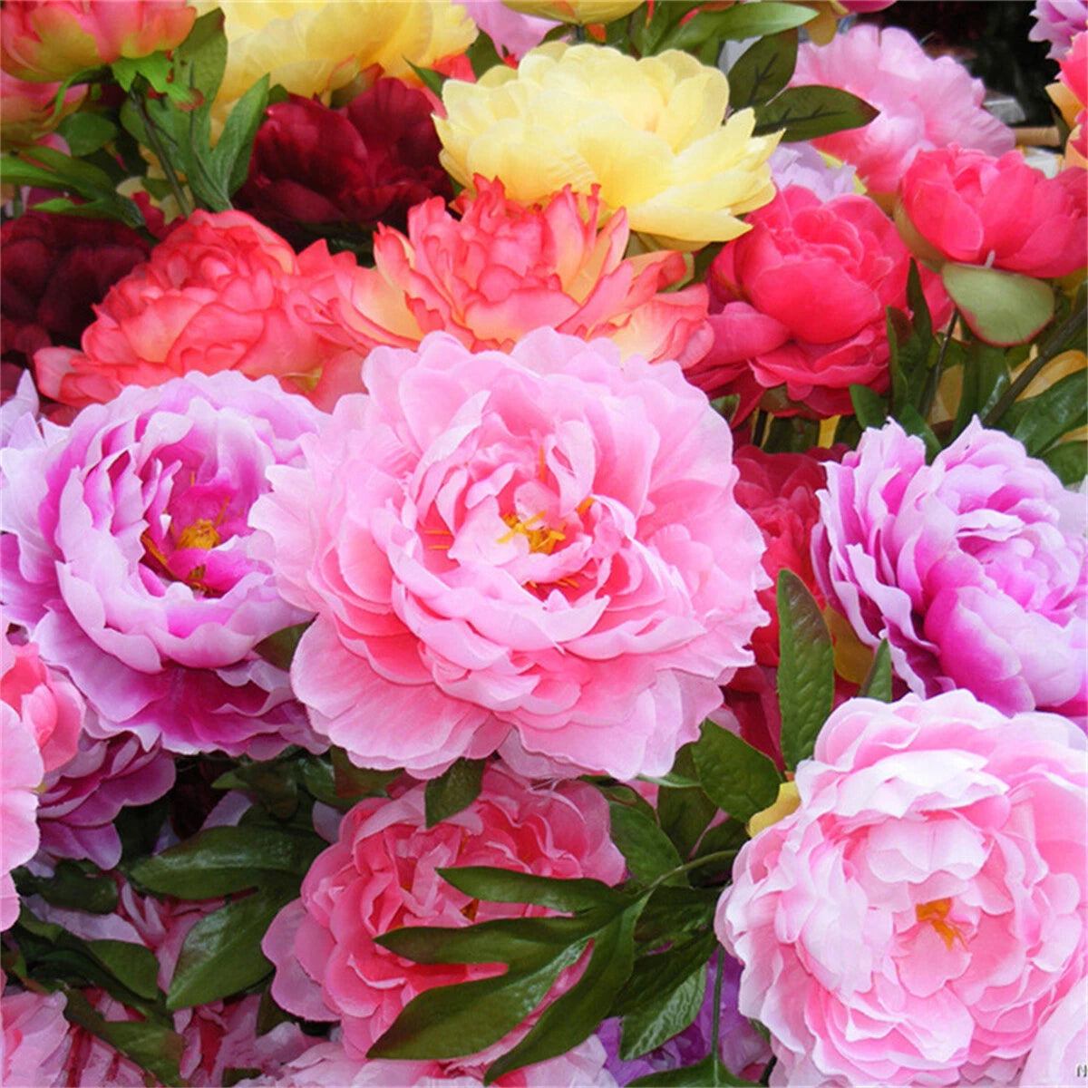 Pcspacks Mix Chinese – Mixed Flower Seeds for Planting