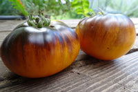 Gondwana Moon Tomato – Heirloom Vegetable Garden Seeds