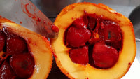 Momordica Cochinchinensis Flower Seeds for Planting