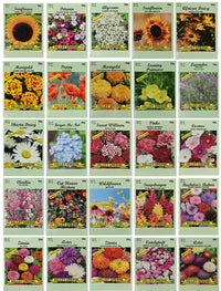 Valley Green Flower Seed Pack Mixed Garden Flower Seeds