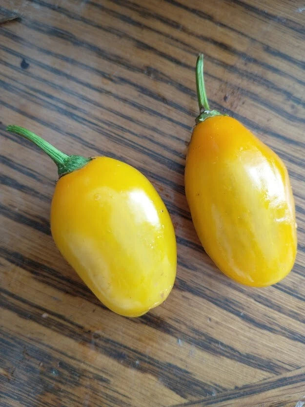 Honey Badger Manzanorocoto – Garden Vegetable Seeds