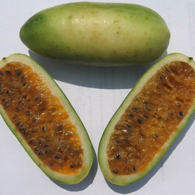Passiflora Mollissima Banana Passion Fruit - Climbing Fruit Seeds