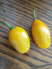Honey Badger Manzano Chile – Vegetable Garden Seeds