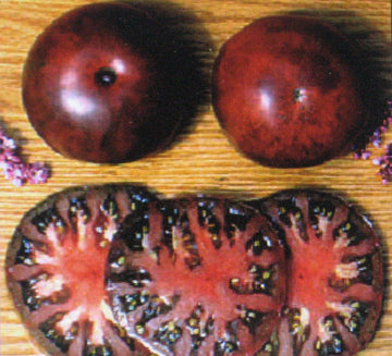 Bulk Seeds Huge – Garden Vegetable Seeds for Planting