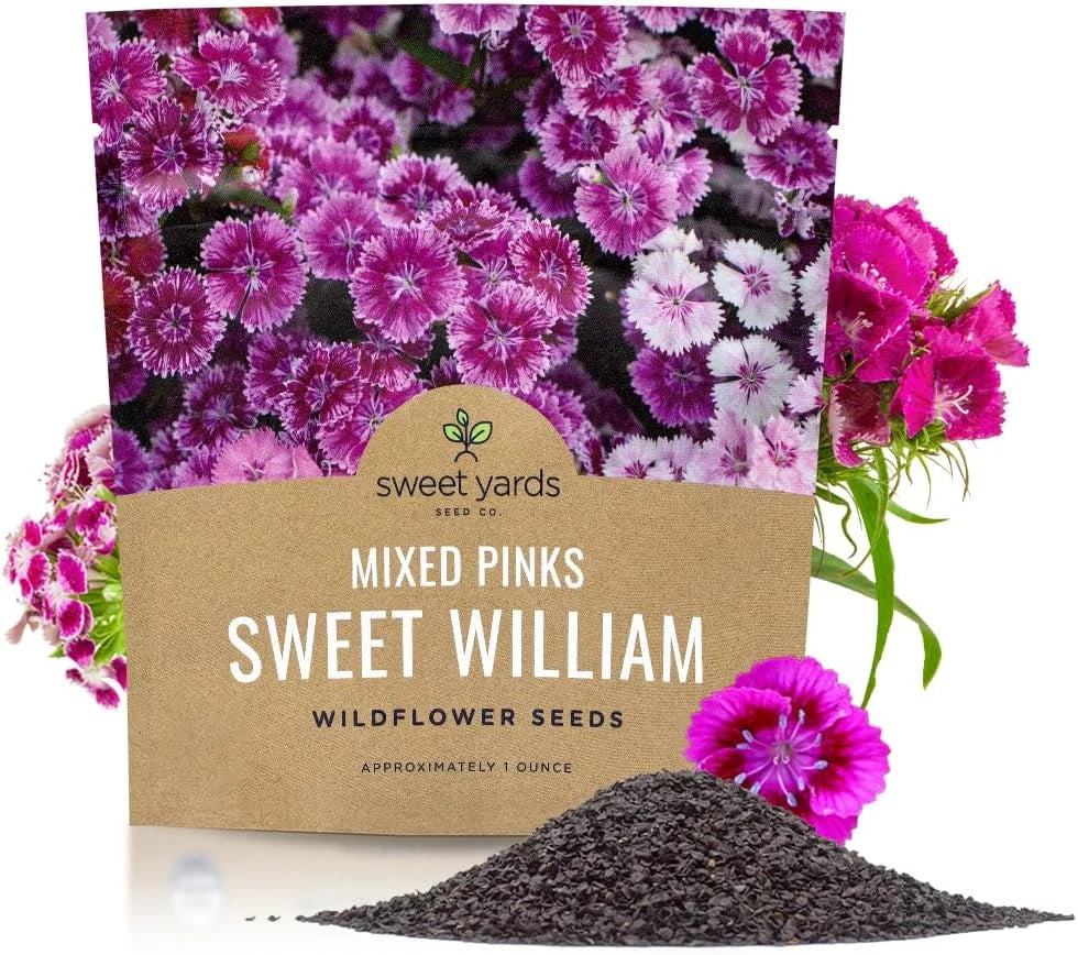 Sweet William Mix Colorful Garden Flower Seeds