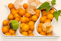 Ground Cherry Physalis Peruviana Cape Gooseberry Vegetable Seeds