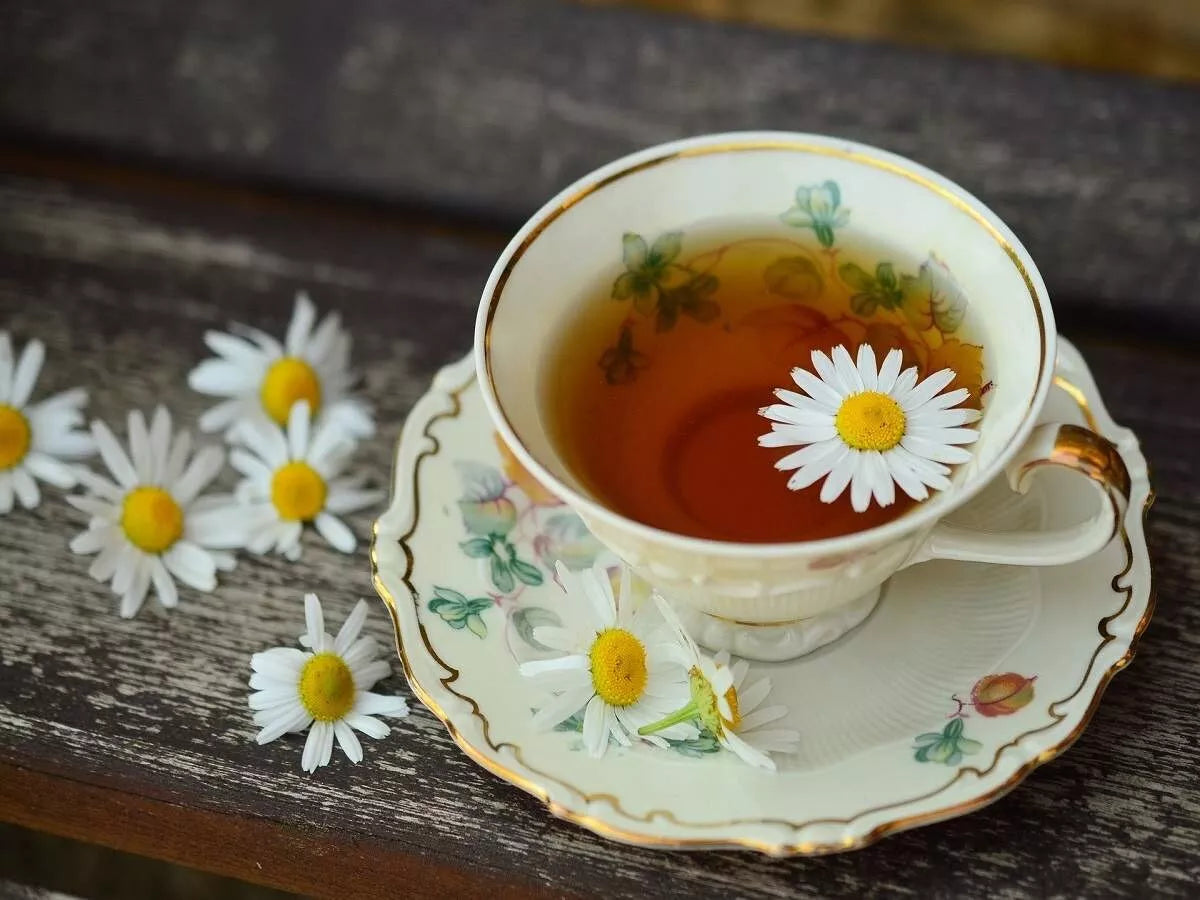 Chamomile Flower Seed Matricaria Chamomilla – Perennial Flower Seeds