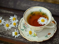Chamomile Flower Seed Matricaria Chamomilla – Perennial Flower Seeds