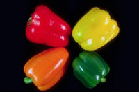 Sweetest Redyellowgreenorange Bell – Garden Fruit Seeds for Planting