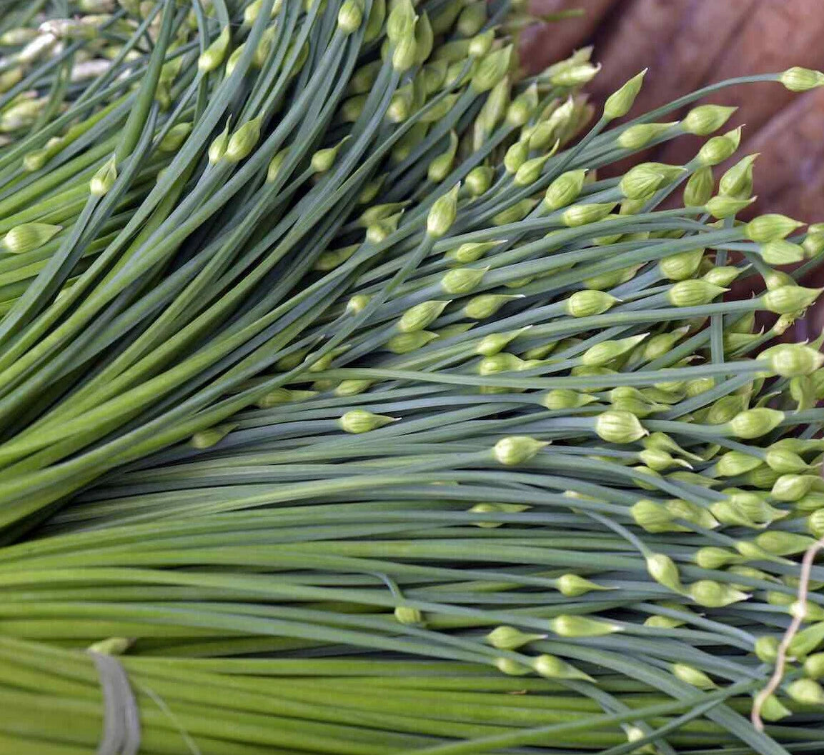 Chives Allium Schoenoprasum – Herb Vegetable Seeds