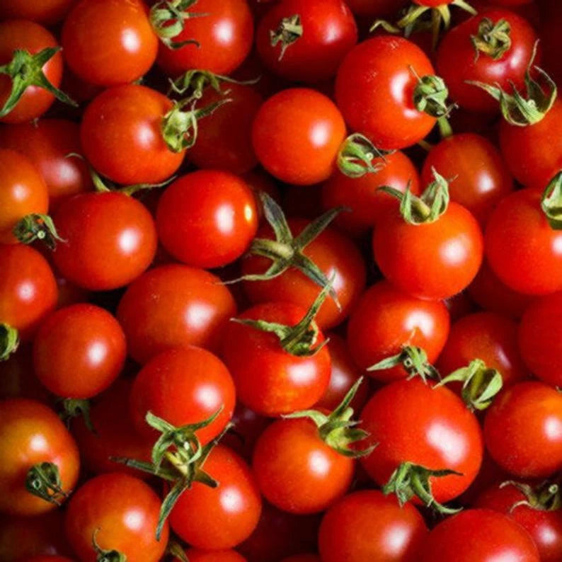 Cherry Tomato Lycopersicon – Vegetable Garden Seeds