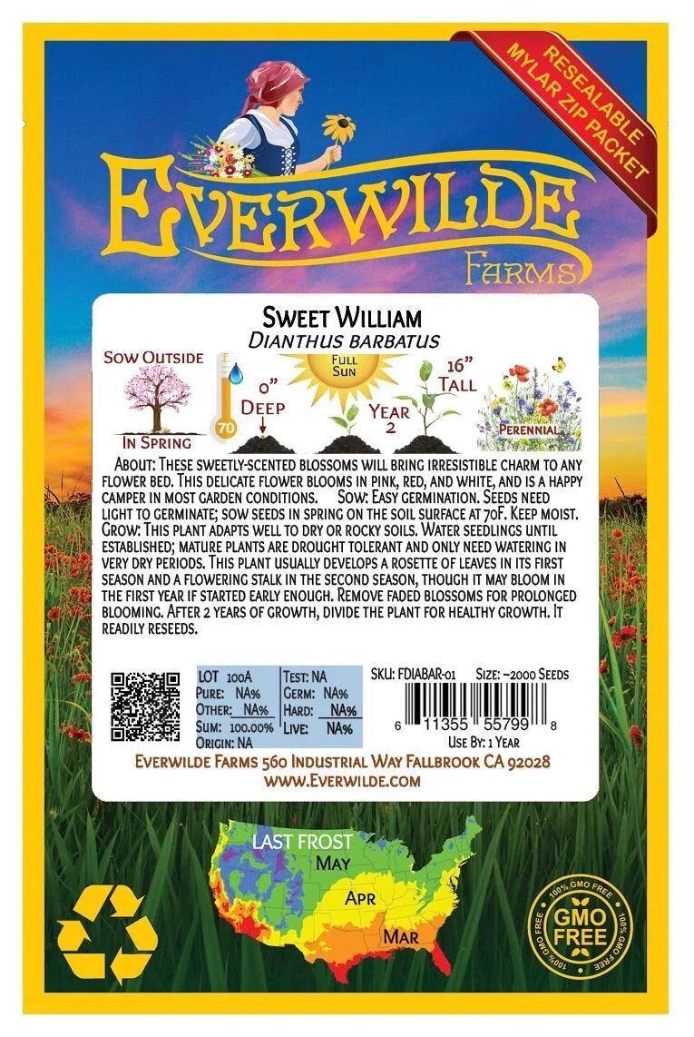 Sweet William – Colorful Wildflower Garden Seeds